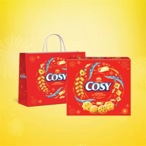 BÁNH QUY COSY BƠ THẬP CẨM VỊ SOCOLA HỘP GIẤY
