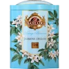 JASMINE DREAM BASILUR-1