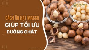 cach-an-hat-macca-thumb