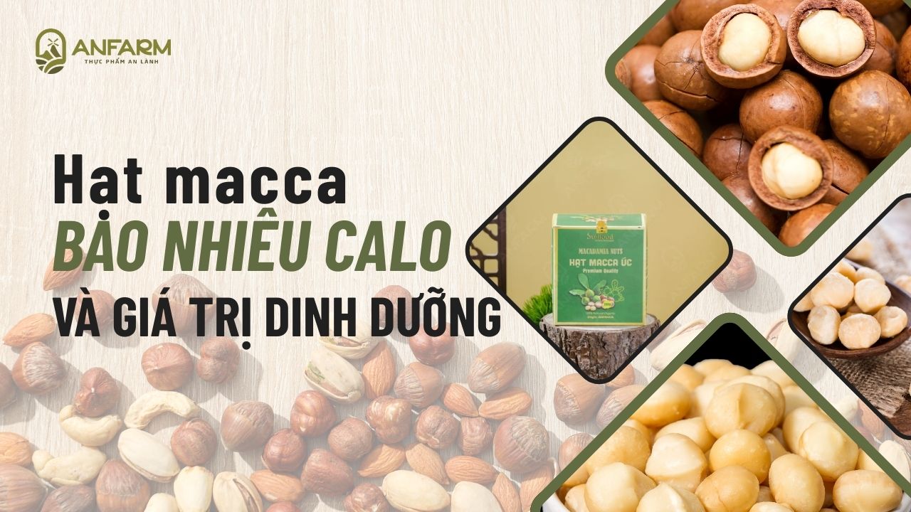 hat-macca-bao-nhieu-calo-thumb