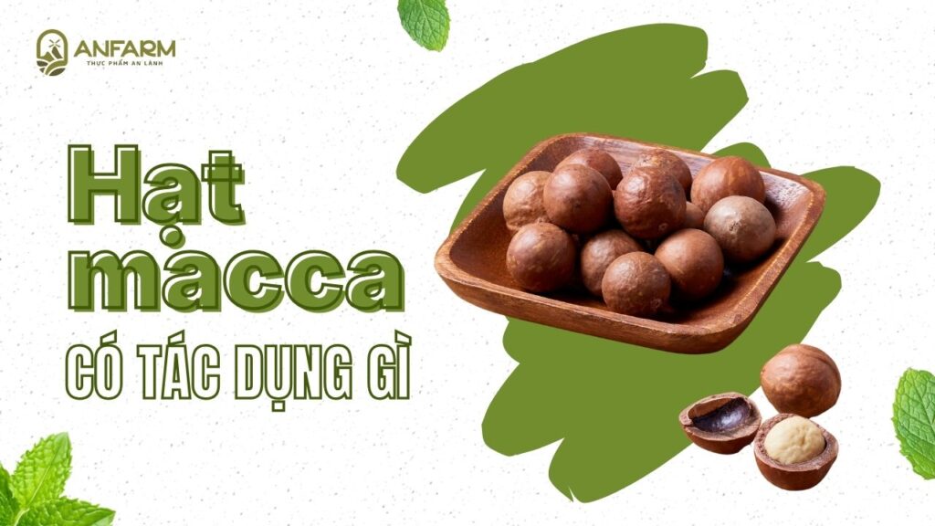 hat-macca-co-tac-dung-gi-thumb