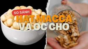 hat-macca-va-oc-cho-cai-nao-tot-hon-thumb