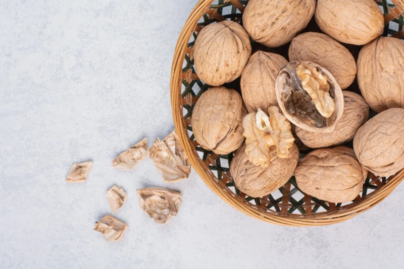 hat-oc-cho-la-gi-nguon-goc-va-dac-diem