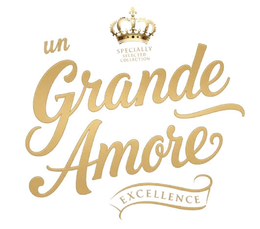 logo-ungrandemore