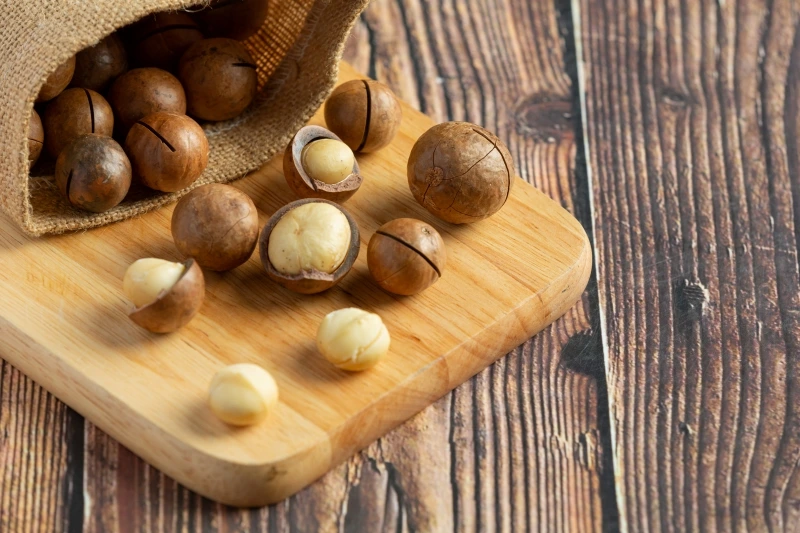 so-sanh-loi-ich-suc-khoe-cua-hat-macca-va-hat-oc-cho