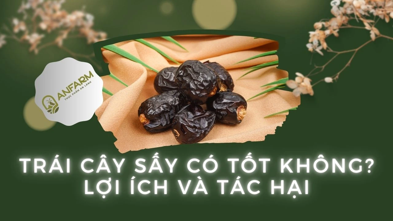 trai-cay-say-co-tot-khong-thumb