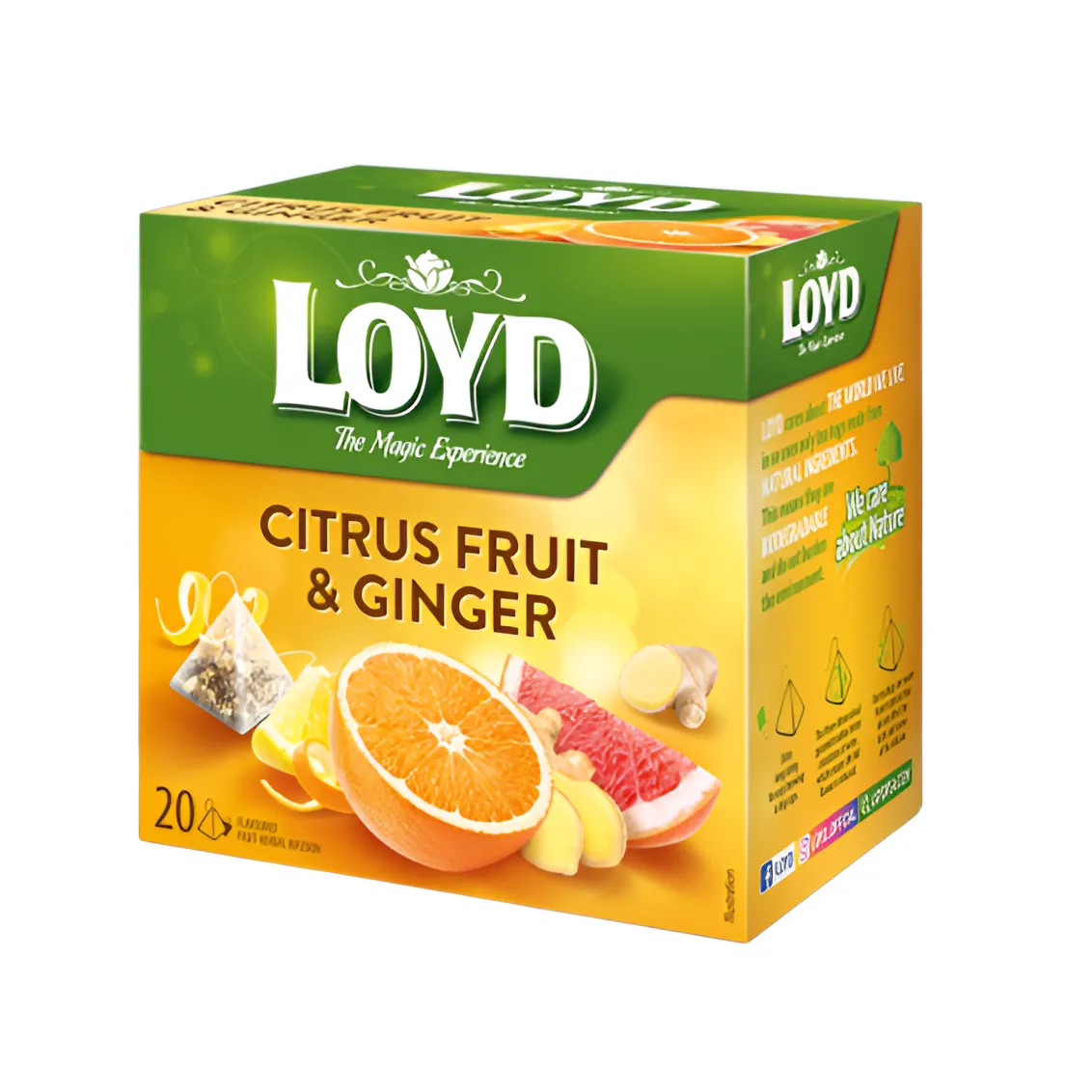 Trà trái cây Loyd hộp giấy 40g-8